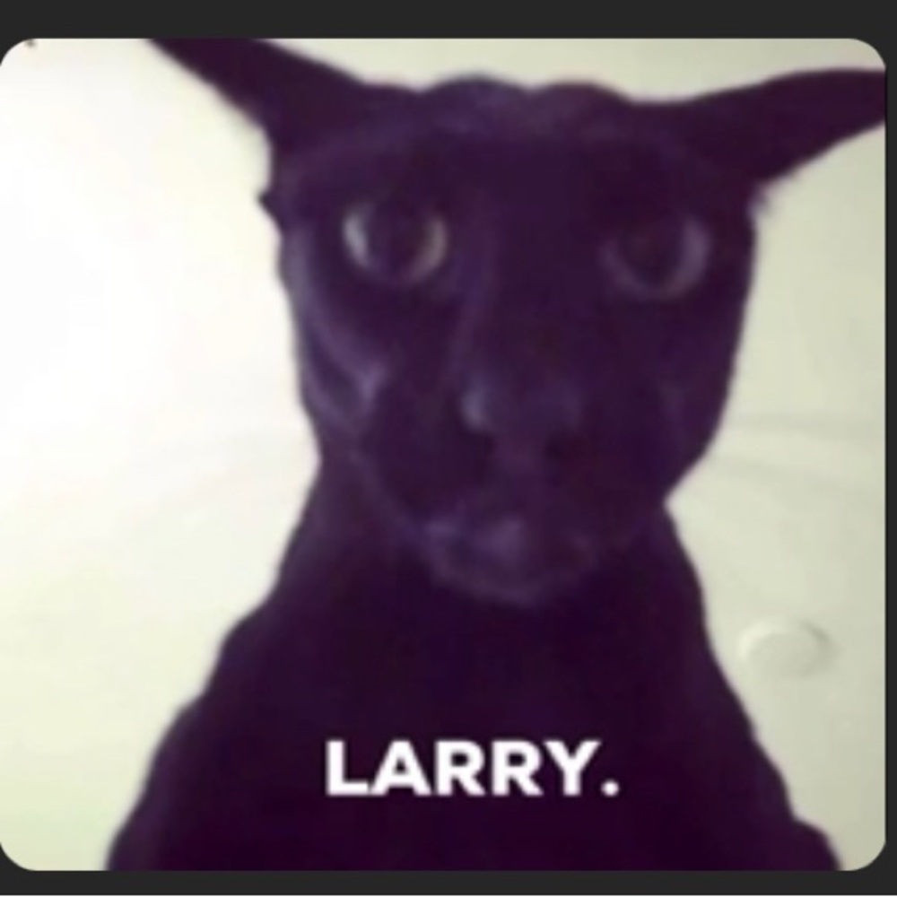 Meet your Posher, Clark